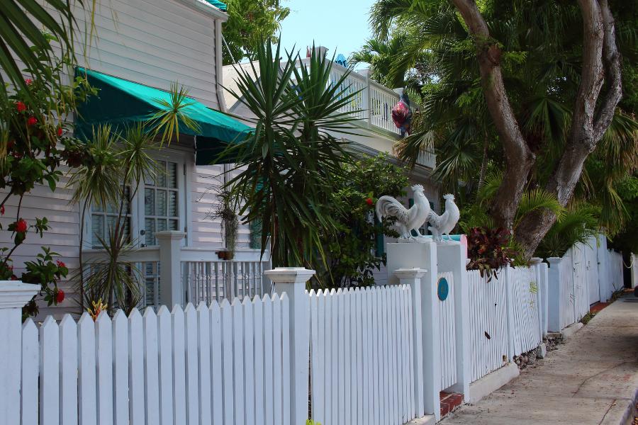 What Fence Style Adds the Most Curb Appeal to a Florida Home
